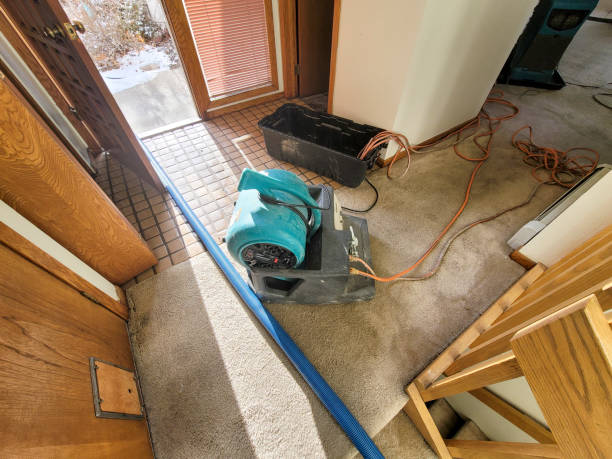 Best Emergency water extraction  in Yellow Springs, OH