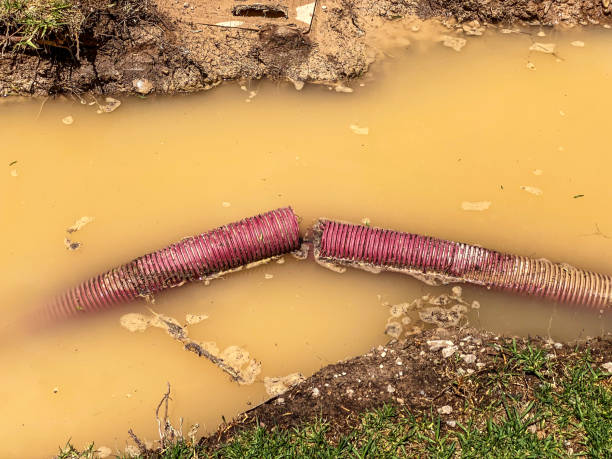 Best Basement water damage restoration  in Yellow Springs, OH